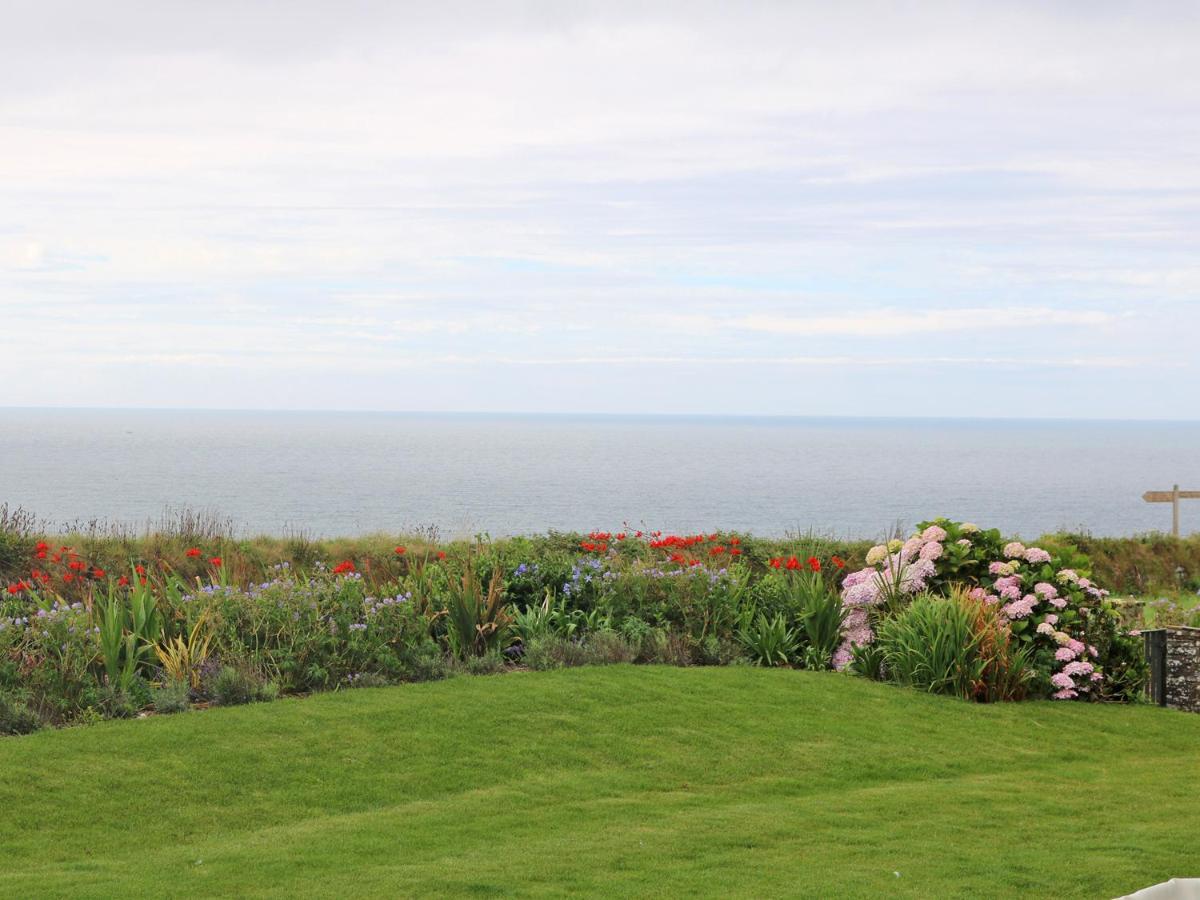 Apartament Saltwater New Quay Zewnętrze zdjęcie