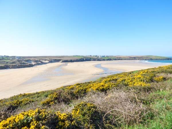 Apartament Saltwater New Quay Zewnętrze zdjęcie