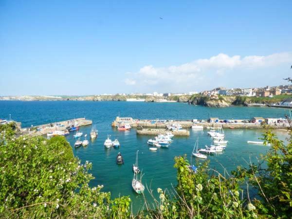 Apartament Saltwater New Quay Zewnętrze zdjęcie