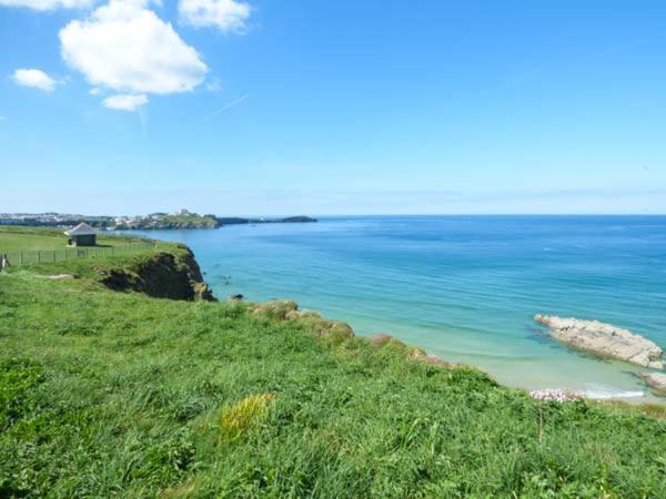 Apartament Saltwater New Quay Zewnętrze zdjęcie